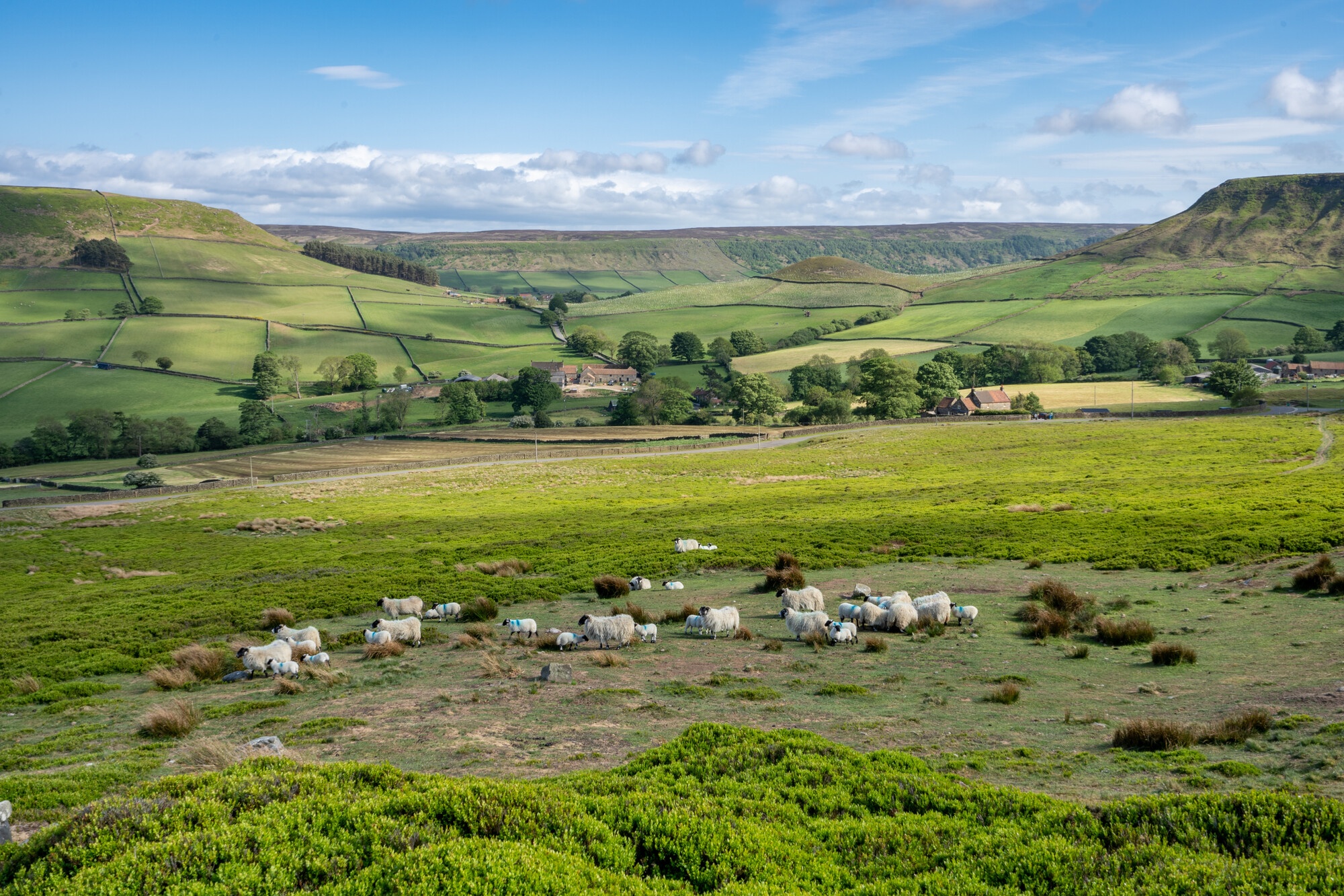 Fryup Dale: Oliver Sherratt/NYMNP