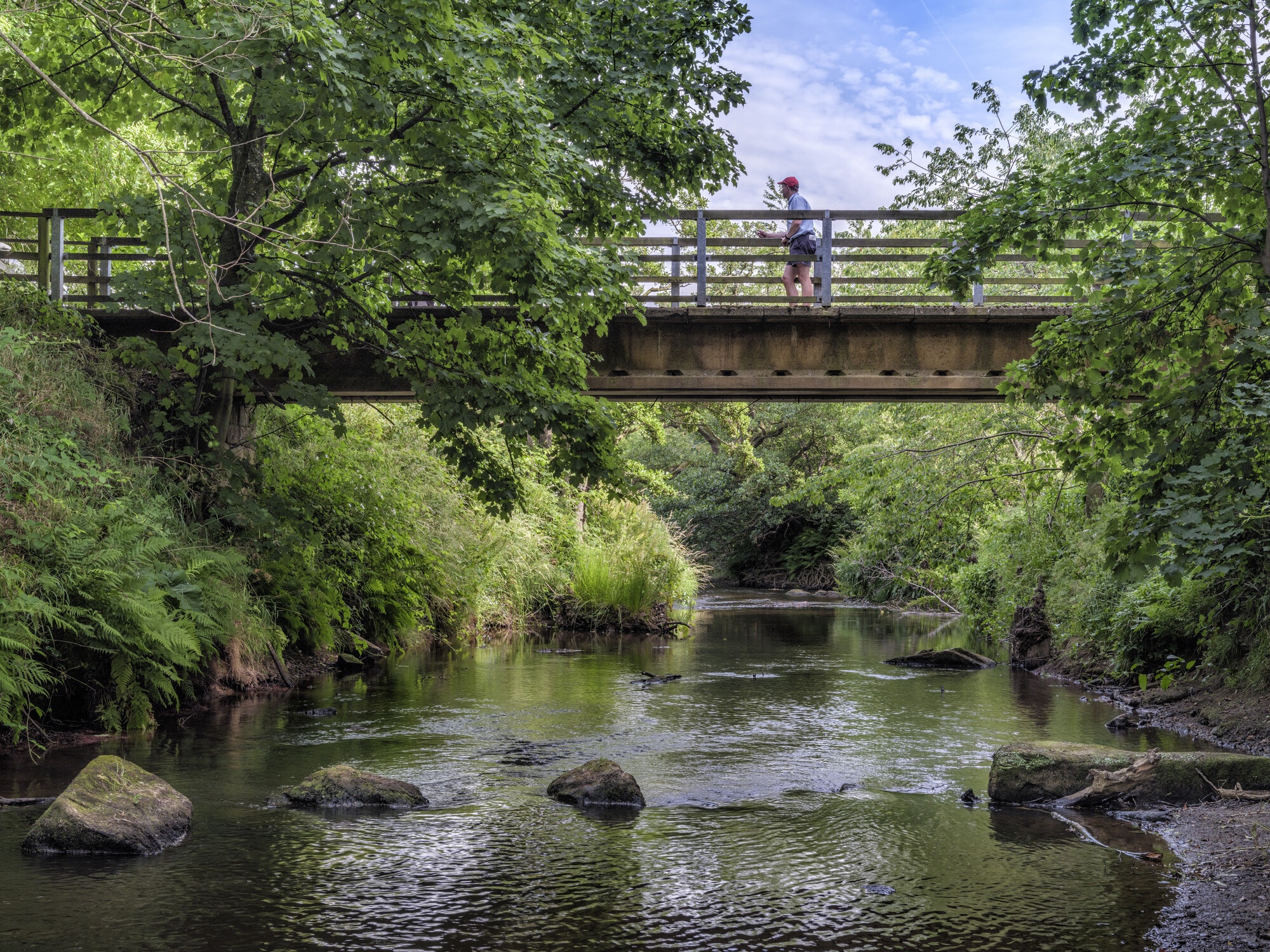 River Esk at Danby Lodge: Paul Kent/NYMNP